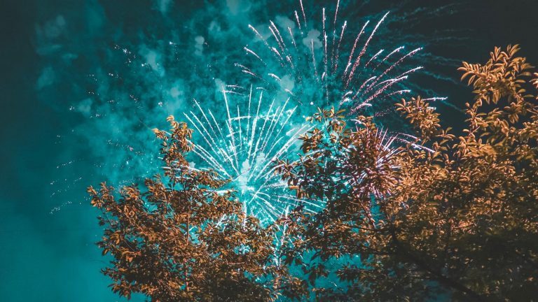 Birmingham's Best Bonfire Night Firework Displays