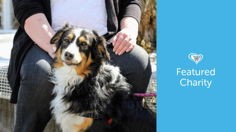 Border Collie Trust GB become Featured Charity