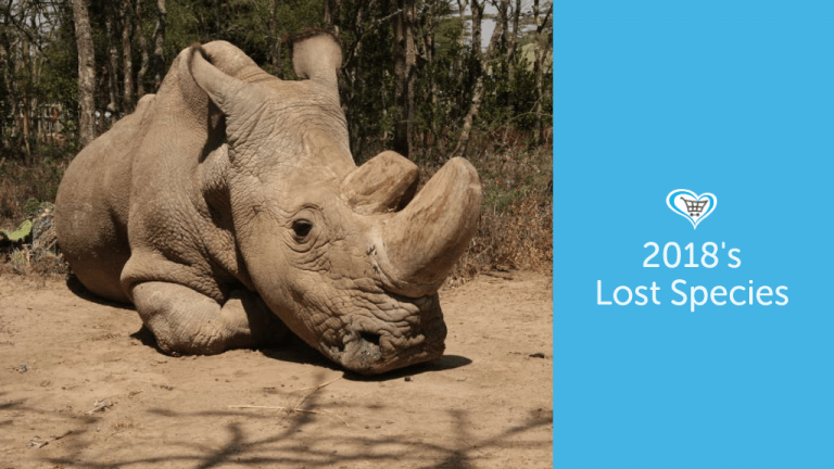 The Animal Species We Lost in 2018