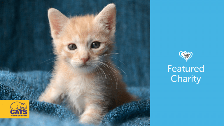 Cats Protection Become Featured Charity