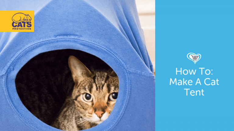 How To Make A Cat Tent!