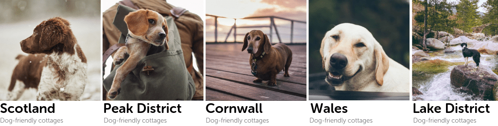 Dog Friendly Holiday Cottages With Homeaway Give As You Live Blog