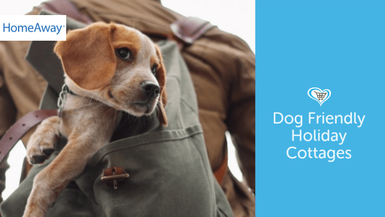 Dog Friendly Holiday Cottages With HomeAway