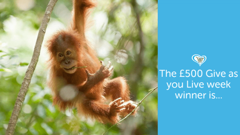 Sumatran Orangutan Society Win £500 With Give as you Live