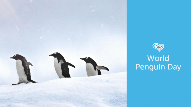 World Penguin Day 2019