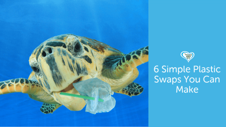 6 Simple Plastic Swaps YOU Can Make