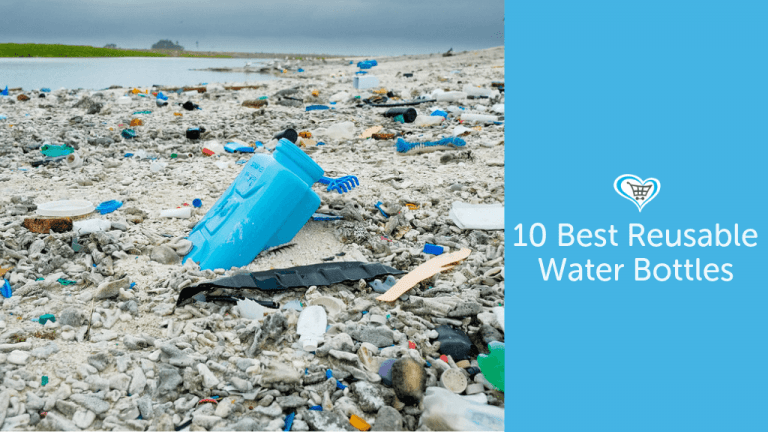 10 Best Reusable Water Bottles