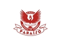 Paraiso School Of Samba
