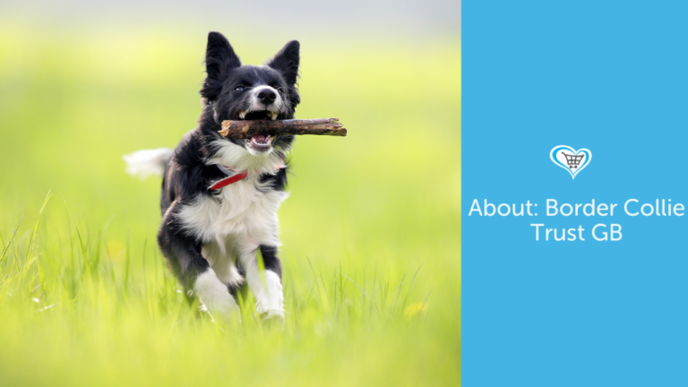 About: Border Collie Trust GB
