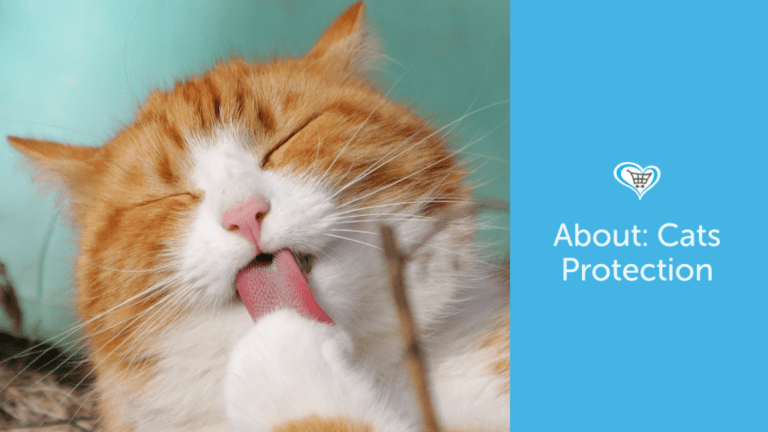 About: Cats Protection