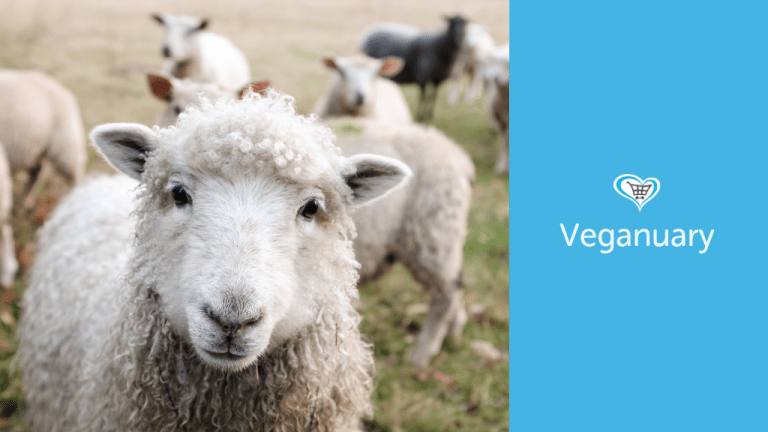 5 Reasons To Give Veganuary A Go