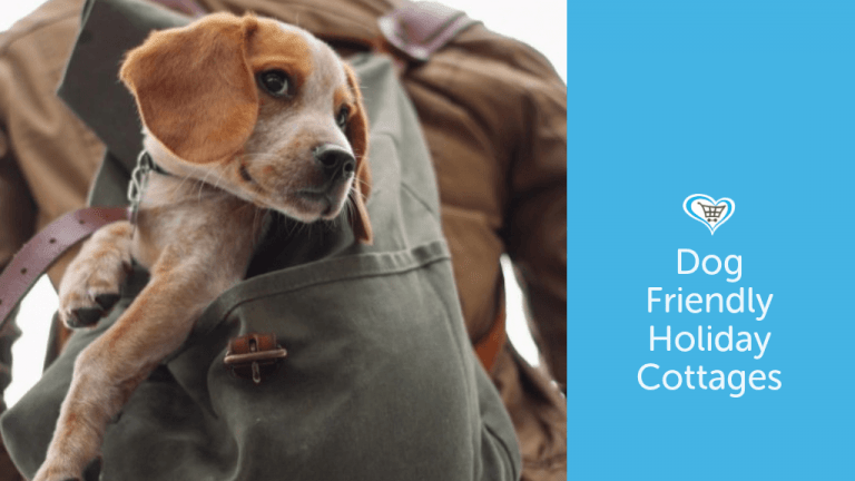 The Best Dog-Friendly Holiday Cottages