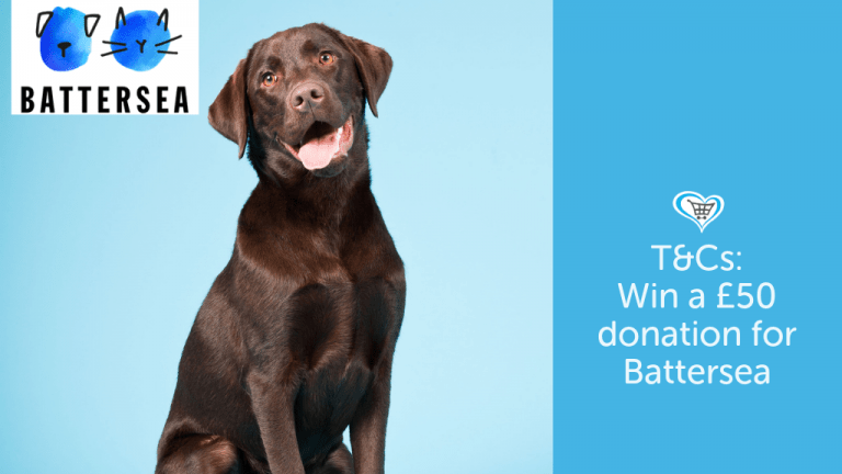 Battersea International Dog Day Competition