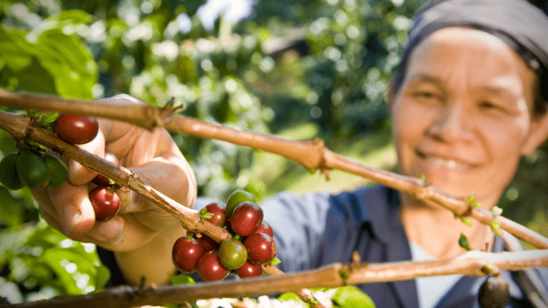 A Guide To Buying Fairtrade