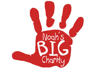 Noah's Big Charity