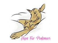 Hope For Podencos UK