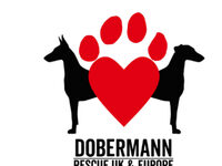 Dobermann Rescue UK & Europe