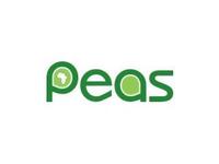 PEAS (Promoting Equality in African Schools)