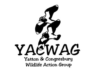 Yatton & Congresbury Wildlife Action Group