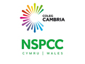 Cambria Supporting NSPCC Cymru