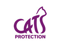 Cats Protection High Wycombe and South Bucks