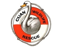 Cuan Wildlife Rescue
