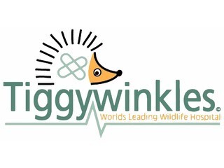 Tiggywinkles Wildlife Hospital