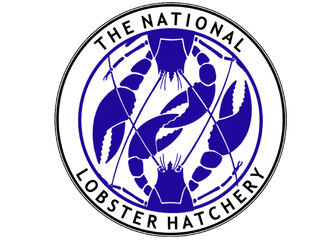 The National Lobster Hatchery