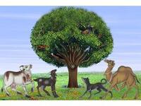 The Tree of Life for Animals