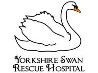 Yorkshire Swan Rescue Hospital