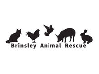 Brinsley Animal Rescue