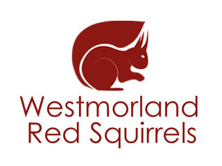 Westmorland Red Squirrels