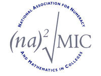 National Association For Numeracy And Mathematics In Colleges Cio
