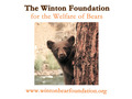 The Winton Foundation For The Welfare Of Bears SCIO (Scotland)