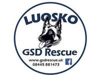 LUOSKO German Shepherd Dog Rescue