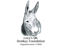 Lucy's UK Donkey Foundation