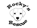 Rocky's Rescue