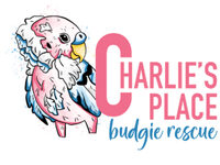 Charlie’s Place UK Budgie Rescue