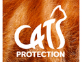 Chiltern Cats Protection