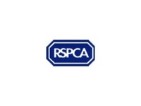 RSPCA Surrey Woking and District Branch