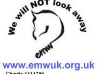 Equine Market Watch UK