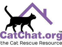 CAT CHAT, the Cat Rescue Resource