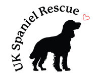 UK Spaniel Rescue