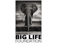 Big Life Uk