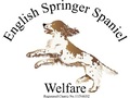 English Springer Spaniel Welfare