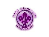 31ST PLYMOUTH (ERNESETTLE) SCOUT GROUP