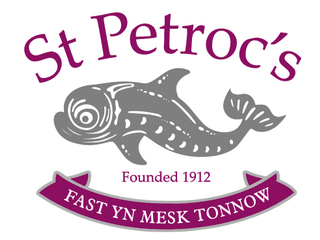 St Petroc's School Trust Ltd