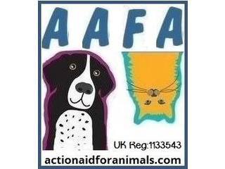 Action Aid for Animals