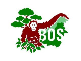 Borneo Orangutan Survival UK
