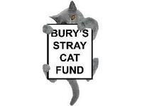 Bury's Stray Cat Fund